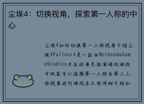 尘埃4：切换视角，探索第一人称的中心