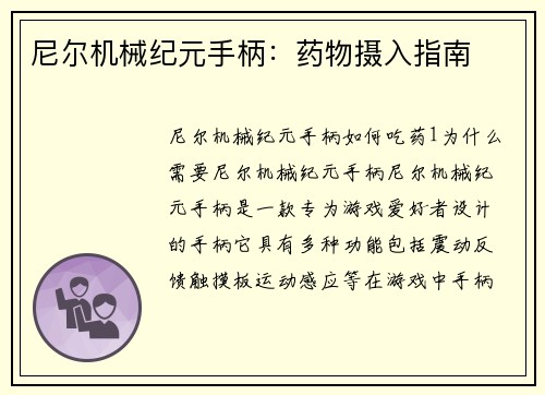 尼尔机械纪元手柄：药物摄入指南